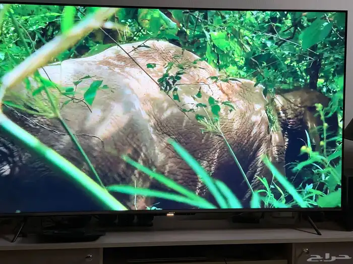 Riyadh, Household Items, SAR 1200,  TIT Google TV 65 Inch تلفزيون TIT Google TV مقاس 65 بوصة