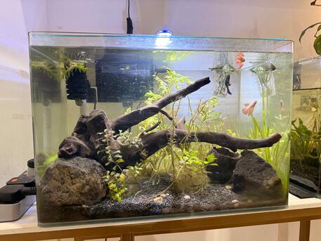 Riyadh, Pet Supplies, SAR 450,  Aquarium Complete Setup