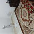 SAR 480/month,  Bed Space Available