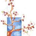 Rittenhouse Acupuncture