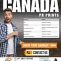 67 Points Calculator Canada