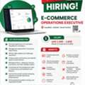 E-Commerce Operations Executive
