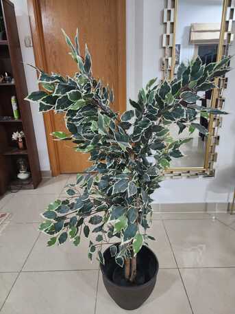 Jubail, Household Items, SAR 12345,  Household Items For Sale