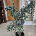 SAR 12345,  Household Items For Sale