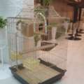 SAR 99,  Big Heavy Cage