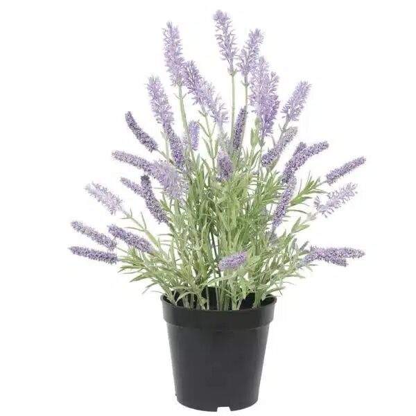 Melbourne, Business, Vibrant And Lasting Artificial Plants And Flowers