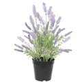 Vibrant And Lasting Artificial Plants And Flowers