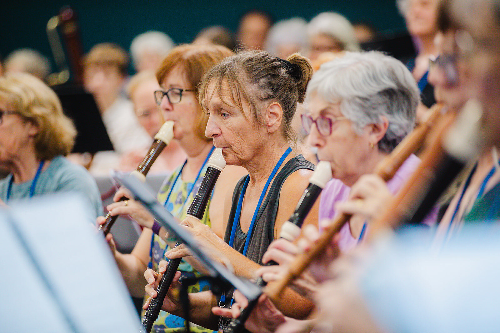Sydney, Musical Instruments, Explore High-Quality Recorder Instrument Choices