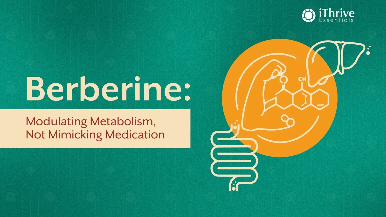 Pune, Guest Posting, Berberine: The Metabolic Modulator You Should Know About