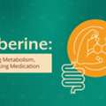 Berberine: The Metabolic Modulator You Should Know About