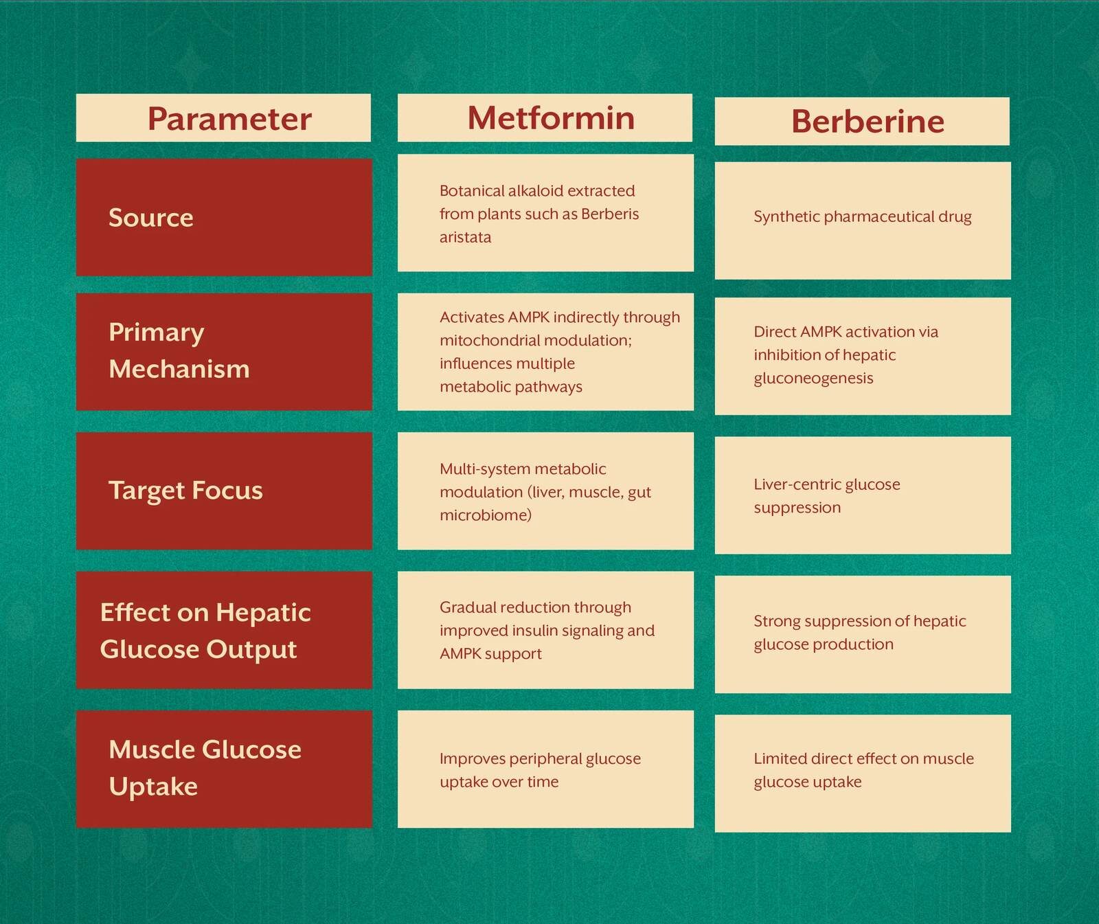 Pune, Guest Posting, Berberine: The Metabolic Modulator You Should Know About