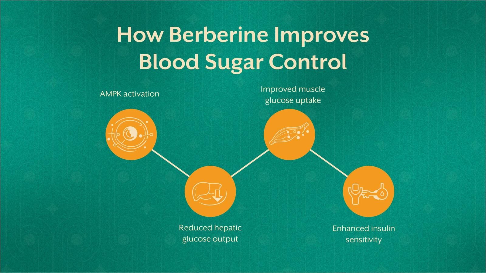 Pune, Guest Posting, Berberine: The Metabolic Modulator You Should Know About