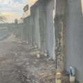 Termite Control Melbourne - Reliable Protection By Ace Termite Solutions