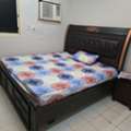 Furnished,  A Fully Furnished Room Is Available At Ground Floor For A Single Bachelor Executive