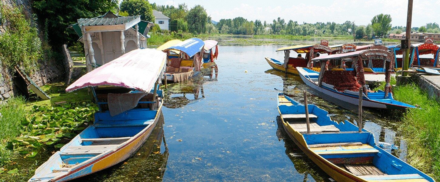 Mumbai, Travel, Discover The Best Kashmir Tour Packages For Family Vacations