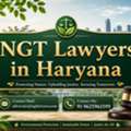 Need Experienced NGT Lawyers In Haryana For Your Case?