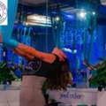 Best Aerial Yoga Classes Near Me Austin For Beginners