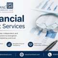 Financial Audit Services By Experienced Audit Professionals