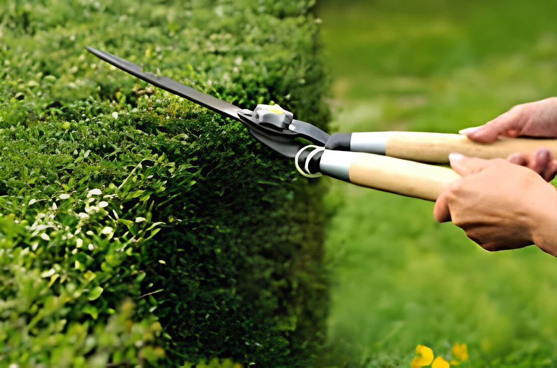 London, Farm/Garden, Hedge Cutting Surrey &ndash; Professional Hedge Trimming Services