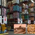 Commercial Pest Control Services In Delhi NCR For Business Protection