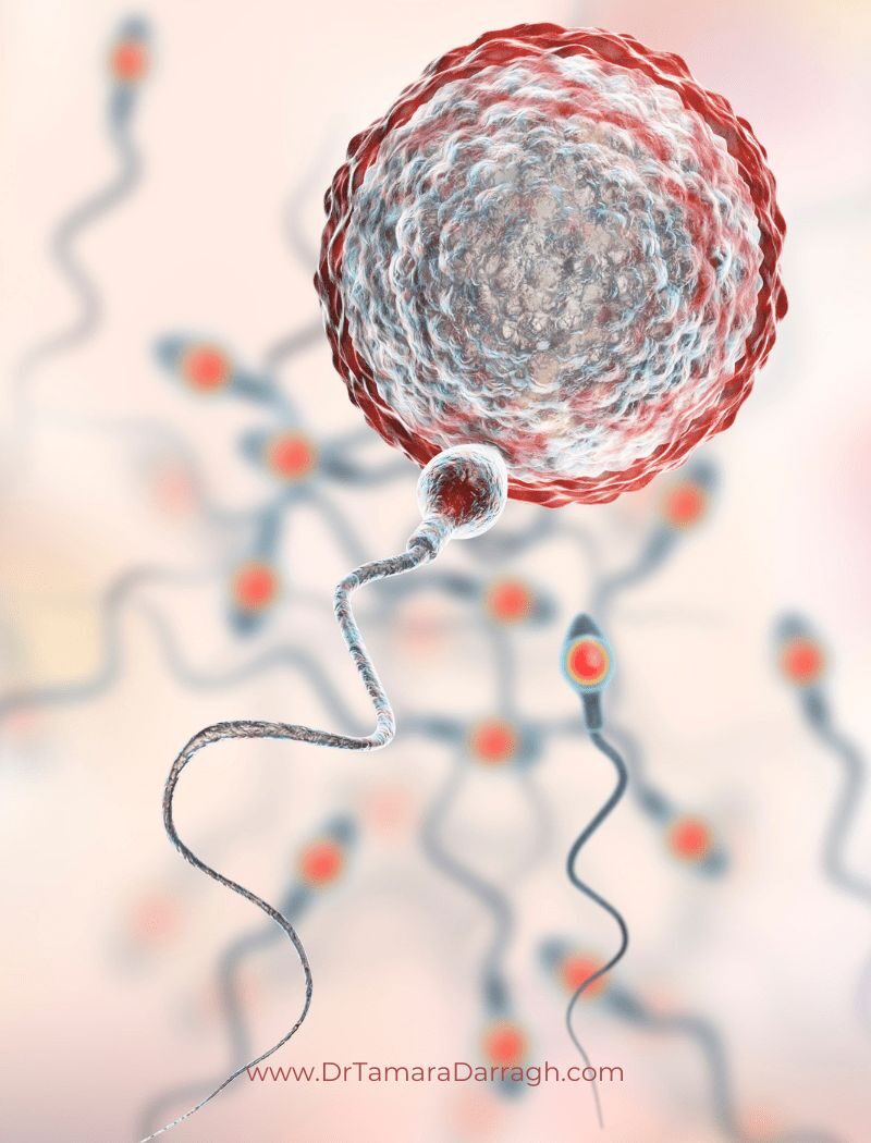 Noida, Health, Male Infertility Treatment Noida