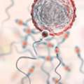 Male Infertility Treatment Noida