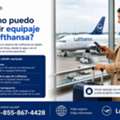 ¿Cómo Puedo Añadir Equipaje En Lufthansa?