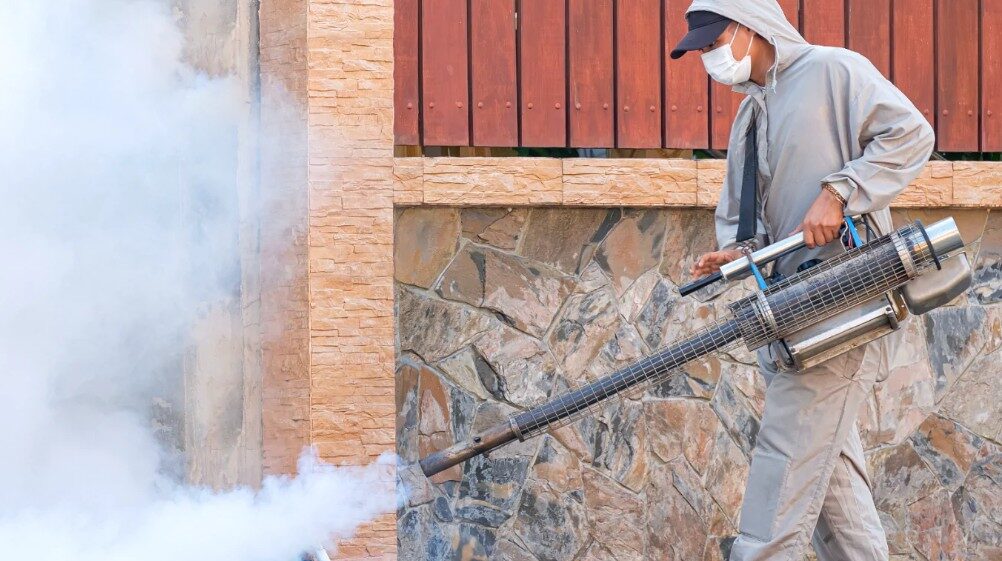 Muscat, Pest Control, Fumigation Services In Oman | HiCare Pest Control
