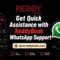 Get Quick Assistance With ReddyBook WhatsApp Support