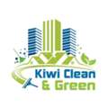 Z`Professional Upholstery Cleaning Feilding | Kiwi Clean And Green
