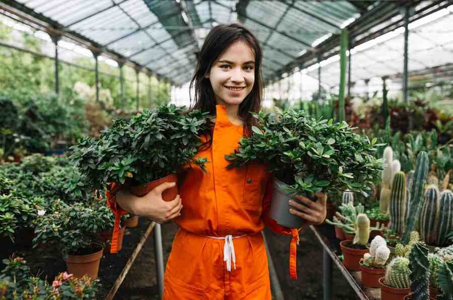 Gurugram, Education, B.Sc Hons Agriculture Course Fees & Admission | KRMU