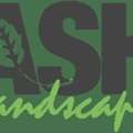 Expert Landscaper For Gardens Patios And Paving