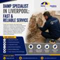 Expert Damp Specialist In Liverpool: Reliable Damp Solutions