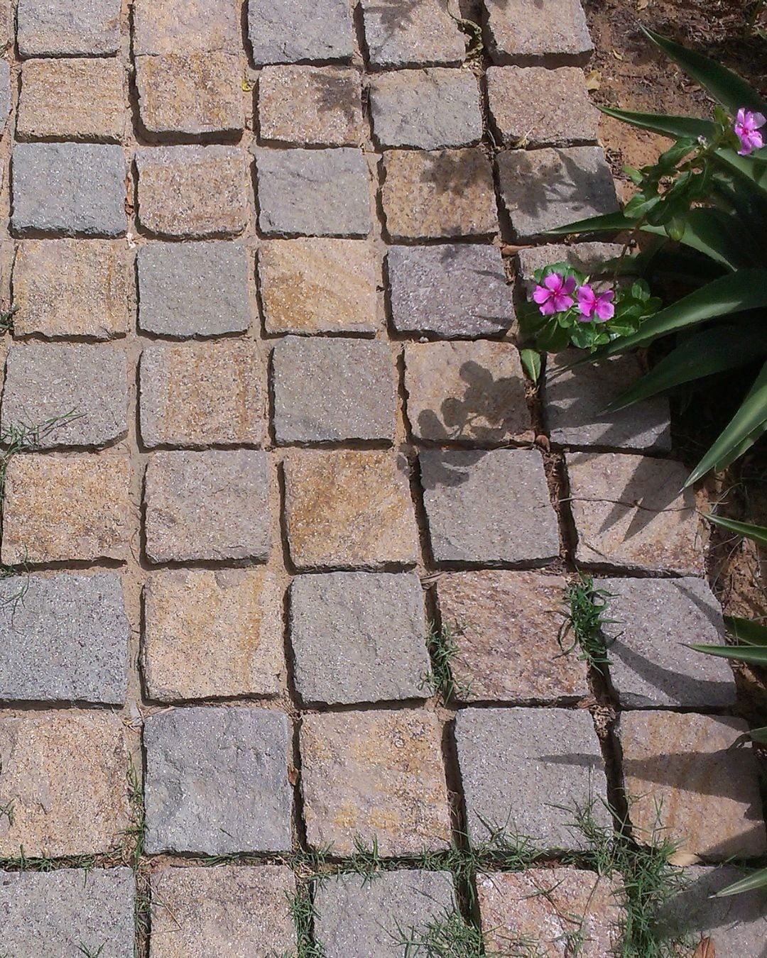 Faridabad, Wholesale Products, Shree Ramdev Cobblestonex