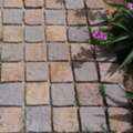Shree Ramdev Cobblestonex
