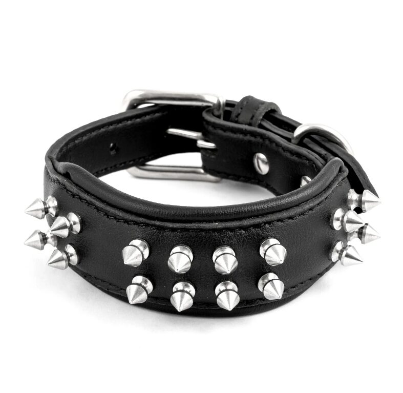 Mumbai, Pet Sitting, Leather Spike Dog Collar For Strong Dogs