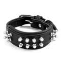 Leather Spike Dog Collar For Strong Dogs