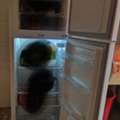 SAR 500,  W. Box Double Door Fridge
