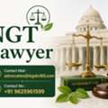 Why Should You Consult An NGT Lawyer For Environmental Legal Disputes?