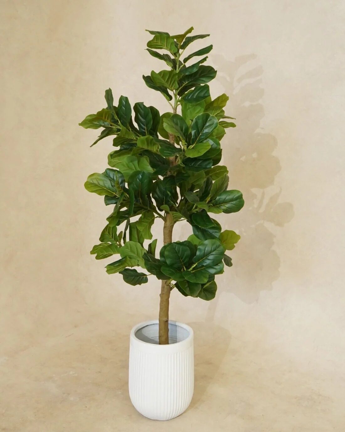 Sydney, Health & Beauty Items, Artificial Plants