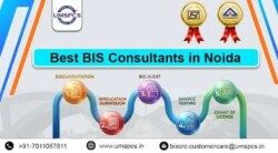 Noida, Legal, BIS Certification Services In Noida