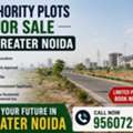 Buy Authority Plots For Sale In Greater Noida Today