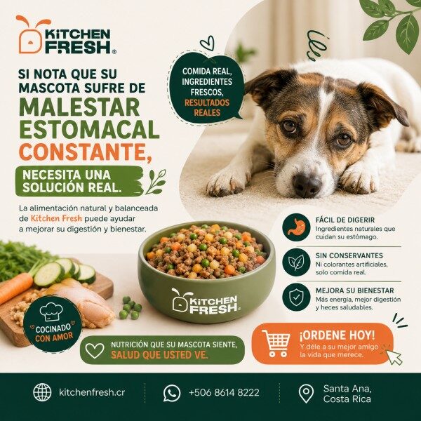 San José, Pet Supplies, CRC 3717,  Alimentación Basada En Ingredientes Naturales Para Perros