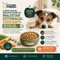 CRC 3717,  Alimentación Basada En Ingredientes Naturales Para Perros