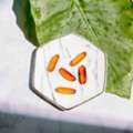 Comprehensive Integrative And Functional Medicine Health Solutions