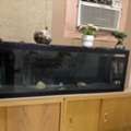 SAR 850,  Big Aquarium For Sale - 1500 CM X 50 CM