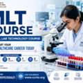 MLT Course Training Program For 10th & 12th Pass Students