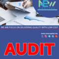 Audit Analysis
