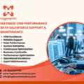 Maximize CRM Performance With Salesforce Support & Maintenance