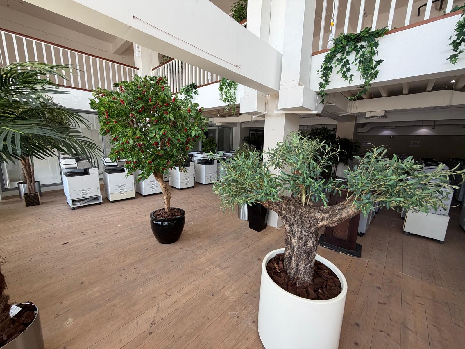 Adliya, Apartments, Flats, Houses & Villas, BHD 1200/month,  Showroom For Rent In Adliya